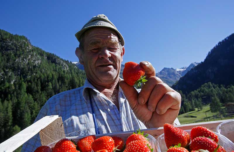 Veranstaltungen und Highlights