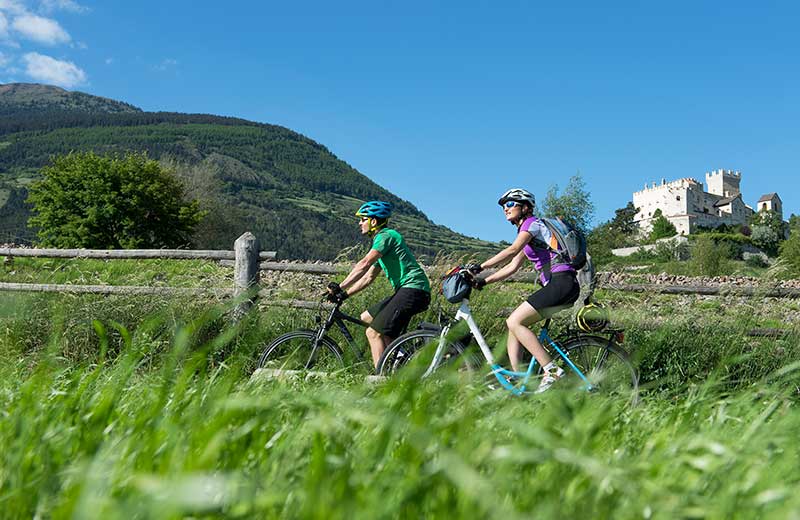 Mountainbiken & Radfahren